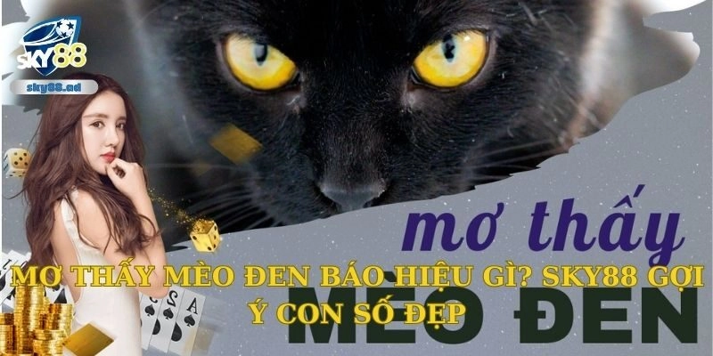 Mơ thấy mèo đen báo hiệu gì? Sky88 gợi ý con số đẹp